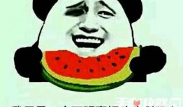 娱乐吃瓜酱谐音梗是什么,揭秘谐音梗背后的趣味与智慧