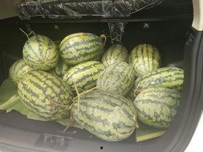 娱乐圈搬凳子吃瓜