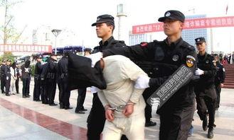 娱乐吃瓜酱诈骗团伙,网络陷阱下的“甜蜜陷阱”