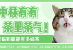 吃瓜娱乐绿茶猫,揭秘娱乐圈背后的秘密