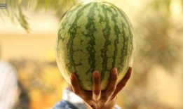 最新娱乐吃瓜,明星隐私曝光，幕后黑手浮出水面