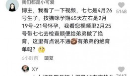 娱乐吃瓜君114,揭秘娱乐圈最新热点事件