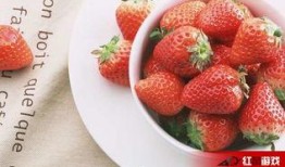 娱乐吃瓜酱草莓视频下载,娱乐吃瓜酱带你轻松获取热门娱乐内容