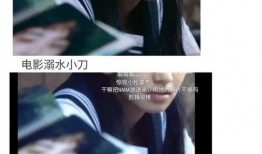 娱乐圈吃瓜推文免费阅读,揭秘明星幕后故事