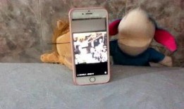 吃瓜娱乐xr,揭秘虚拟世界中的明星八卦盛宴