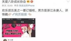 知乎娱乐圈吃瓜合集小说,揭秘知乎吃瓜合集背后的故事