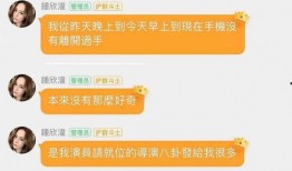 娱乐吃瓜酱模板风格分析,明星们的幕后故事，吃瓜群众必看！
