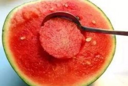 娱乐吃瓜酱美玉,揭秘美玉背后的故事与魅力