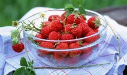 娱乐吃瓜酱草莓视频下载,娱乐吃瓜酱带你轻松获取热门娱乐内容