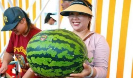 最新娱乐吃瓜,明星隐私曝光，幕后黑手浮出水面