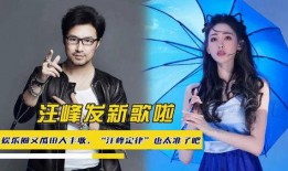 娱乐吃瓜蜀黍汪峰小说,揭秘娱乐圈背后的风云变幻