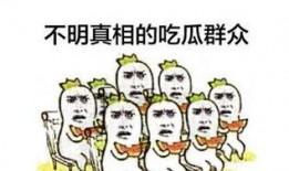吃瓜群众带你看娱乐,吃瓜群众带你领略明星幕后故事
