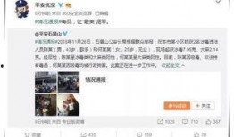 知乎娱乐圈吃瓜合集小说,揭秘知乎吃瓜合集背后的故事