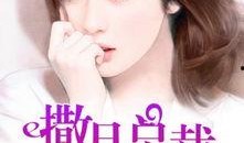 娱乐吃瓜酱妻子小说,妻子背后的秘密风云