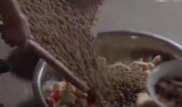 娱乐吃瓜酱山东人,揭秘鲁地风土人情与美食文化