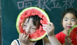 小朋友吃娱乐圈的瓜