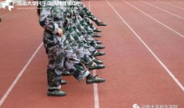 娱乐吃瓜酱军训,娱乐吃瓜酱的军旅成长记