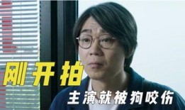 娱乐吃瓜君114,揭秘娱乐圈最新热点事件