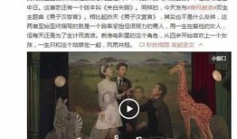 娱乐吃瓜酱制造舆论,揭秘娱乐圈幕后风云，制造舆论热点