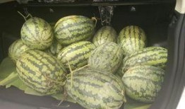 娱乐圈搬凳子吃瓜,搬凳子围观吃瓜大戏