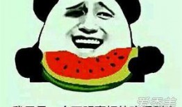 娱乐吃瓜酱努力的意义