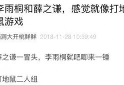 娱乐吃瓜笔记,吃瓜笔记背后的精彩故事