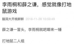 娱乐吃瓜笔记,吃瓜笔记背后的精彩故事