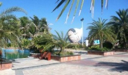 娱乐718.吃瓜三亚,揭秘718吃瓜狂欢背后的精彩故事