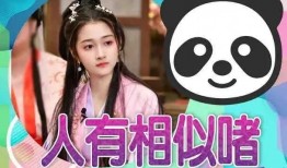 娱乐圈吃瓜爆料小说推荐发疯