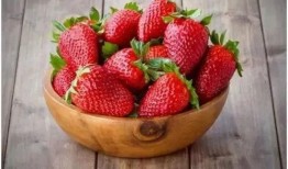 娱乐吃瓜草莓视频