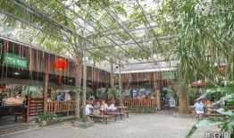 广州市吃瓜影视娱乐场所,吃瓜影视场所，解锁城市夜生活新潮流