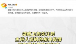 娱乐圈718吃瓜网网址,揭秘明星幕后故事，带你领略娱乐圈风云变幻